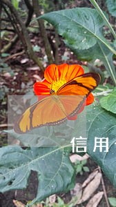 信用卡逾期1年了怎么还款 信用卡逾期1年了怎么还款