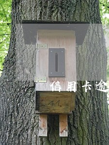 信用卡逾期1年会咋么样
