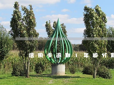 信用卡逾期1年做分期 信用卡逾期1年做分期