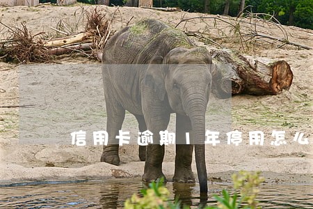 信用卡逾期1年停用怎么还款 信用卡逾期1年停用怎么还款