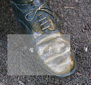 信用卡逾期1年利息是多少 信用卡逾期1年利息是多少
