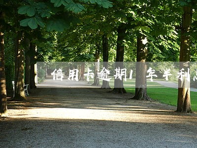 信用卡逾期1年半利息还不上 信用卡逾期1年半利息还不上