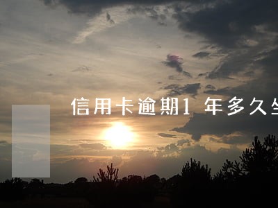 信用卡逾期1年多久坐牢 信用卡逾期1年多久坐牢
