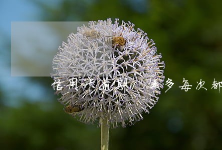 信用卡逾期1年多每次都还十几块