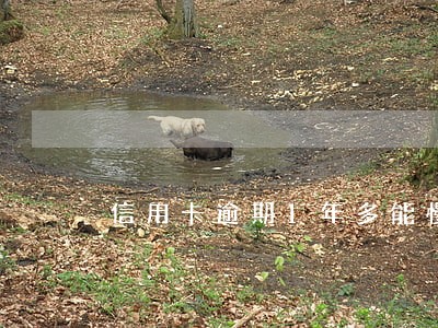 信用卡逾期1年多能慢慢还吗 信用卡逾期1年多能慢慢还吗