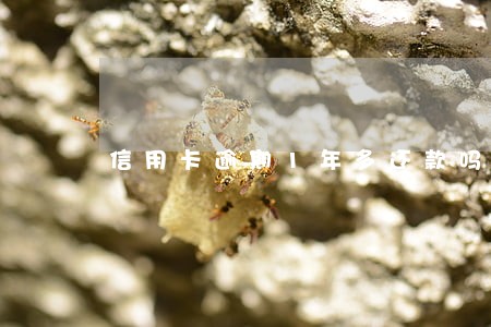 信用卡逾期1年多还款吗 信用卡逾期1年多还款吗