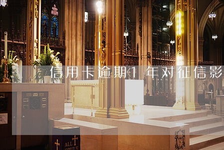 信用卡逾期1年对征信影响 信用卡逾期1年对征信影响