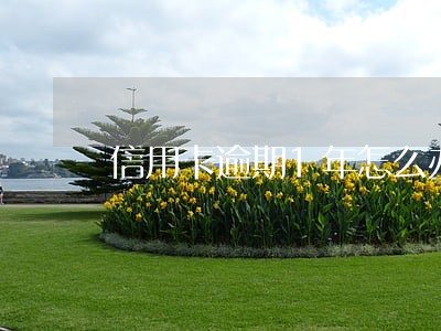 信用卡逾期1年怎么办银行说找 信用卡逾期1年怎么办银行说找