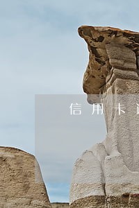 信用卡逾期1年怎么处理