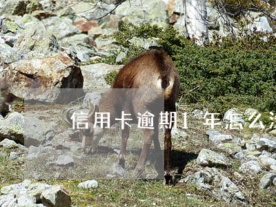 信用卡逾期1年怎么没有账单
