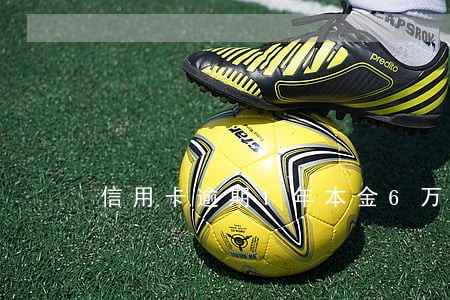信用卡逾期1年本金6万 信用卡逾期1年本金6万
