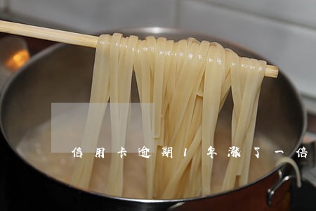 信用卡逾期1年涨了一倍 信用卡逾期1年涨了一倍