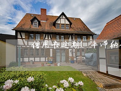 信用卡逾期1年滞纳金算法