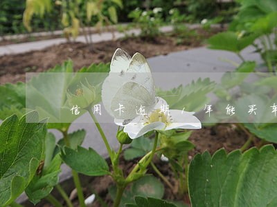 信用卡逾期1年能买车吗 信用卡逾期1年能买车吗