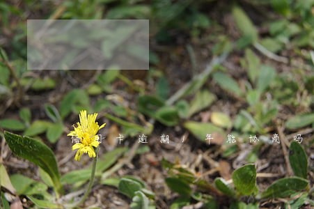 信用卡逾期1年能协商吗