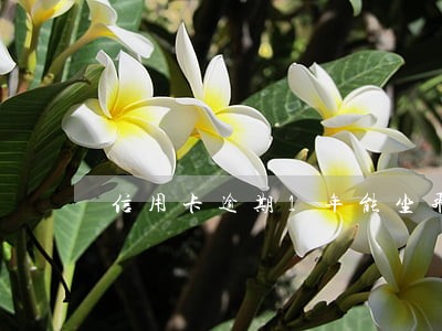 信用卡逾期1年能坐飞机吗 信用卡逾期1年能坐飞机吗