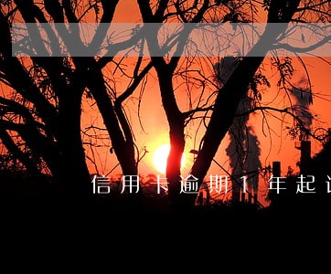 信用卡逾期1年起诉开庭 信用卡逾期1年起诉开庭