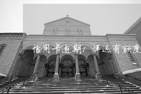 信用卡逾期1年还有额度 信用卡逾期1年还有额度