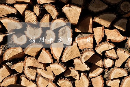 信用卡逾期1月 信用卡逾期1月