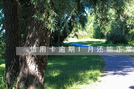 信用卡逾期1月还能正常使用吗