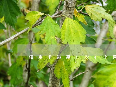 信用卡逾期1次4个月 信用卡逾期1次4个月