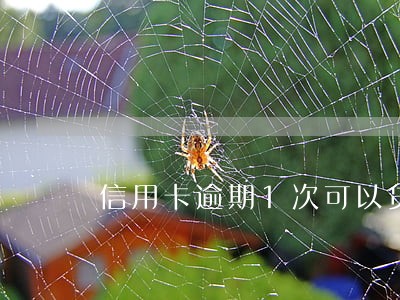 信用卡逾期1次可以贷款么