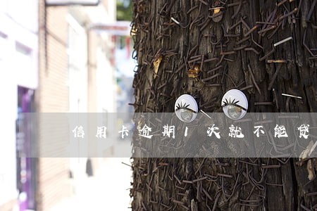 信用卡逾期1次就不能贷款吗 信用卡逾期1次就不能贷款吗