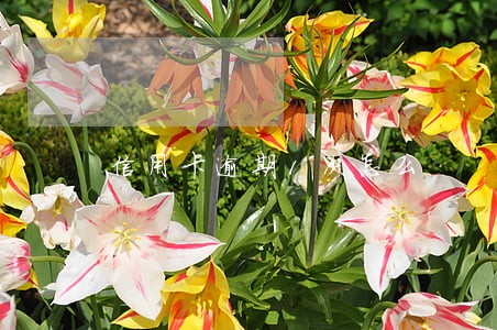信用卡逾期1次怎么 信用卡逾期1次怎么