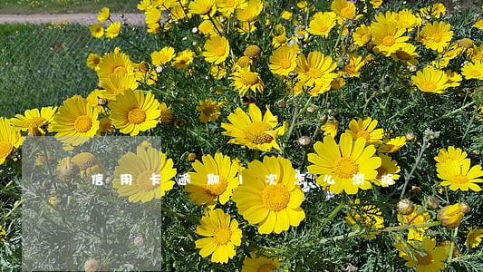 信用卡逾期1次怎么消除 信用卡逾期1次怎么消除