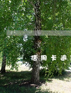 信用卡逾期1次的影响 信用卡逾期1次的影响
