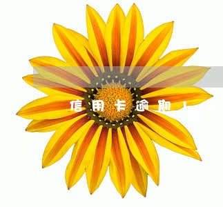 信用卡逾期1次记录怎么消除 信用卡逾期1次记录怎么消除