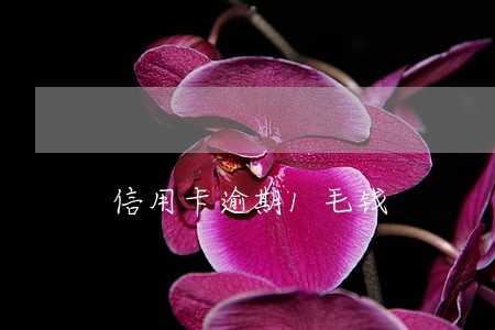 信用卡逾期1毛钱 信用卡逾期1毛钱