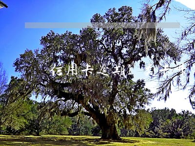 信用卡逾期1类卡异常