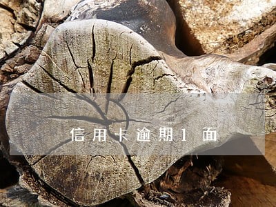 信用卡逾期1面 信用卡逾期1面
