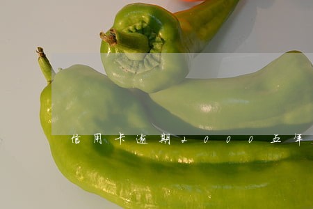 信用卡逾期2000五年 信用卡逾期2000五年
