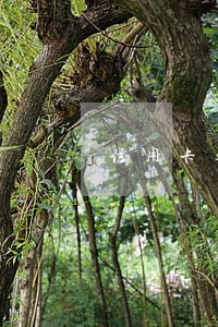 信用卡逾期2000会立案吗 信用卡逾期2000会立案吗