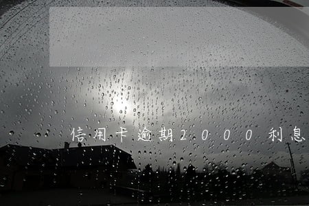 信用卡逾期2000利息多少 信用卡逾期2000利息多少