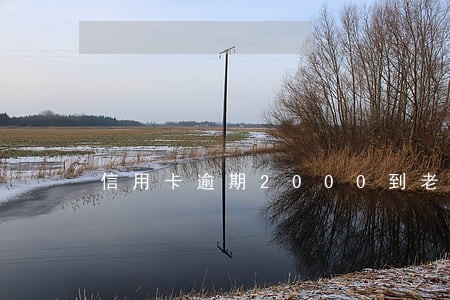 信用卡逾期2000到老家