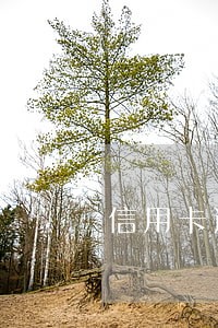 信用卡逾期2000多说要上门 信用卡逾期2000多说要上门