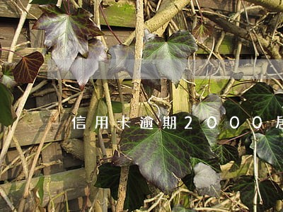 信用卡逾期2000居然上门了 信用卡逾期2000居然上门了