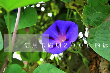 信用卡逾期2000的诉讼时效 信用卡逾期2000的诉讼时效