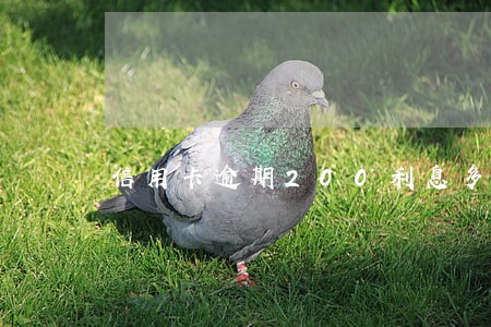 信用卡逾期200利息多少 信用卡逾期200利息多少