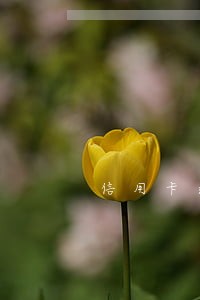信用卡逾期200块2个月