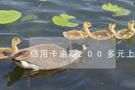 信用卡逾期200多元上征信吗 信用卡逾期200多元上征信吗