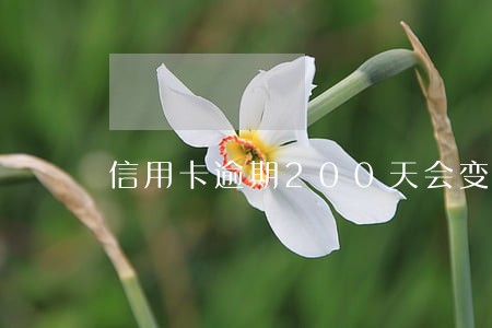 信用卡逾期200天会变呆账吗 信用卡逾期200天会变呆账吗