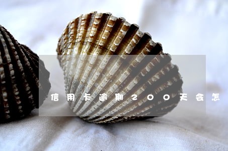 信用卡逾期200天会怎样 信用卡逾期200天会怎样