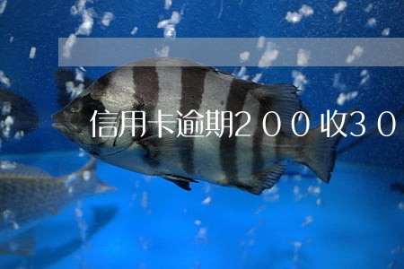 信用卡逾期200收300利息