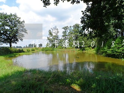 信用卡逾期2018年12月 信用卡逾期2018年12月