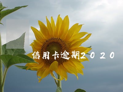 信用卡逾期2020
