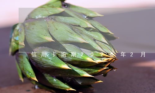 信用卡逾期2020年2月